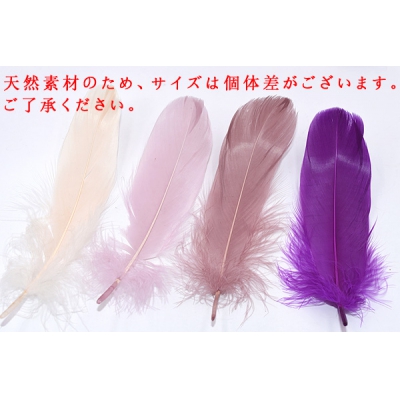 天然フェザー グースの羽根 15〜20cm 染め カラフル【10ヶ】