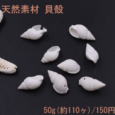 天然素材 巻貝の貝殻 穴あり ハンドメイド用【50g(約110ヶ)】