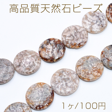 高品質天然石ビーズ コイン型 25mm ボツワナアゲート【1ヶ】